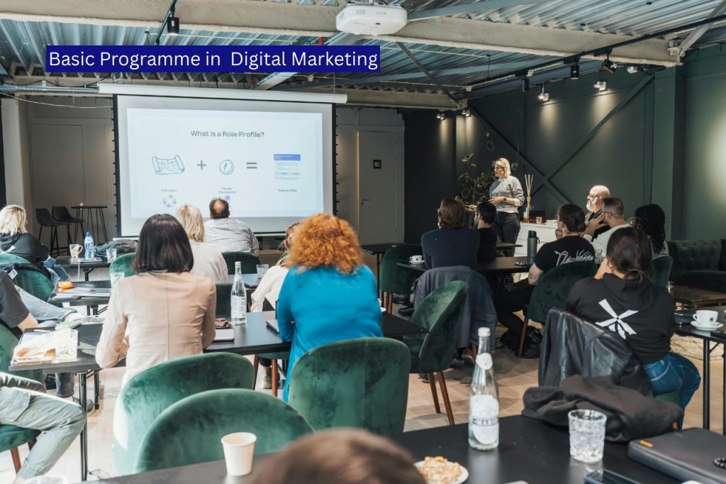 Basic Programme in Digital Marketing​