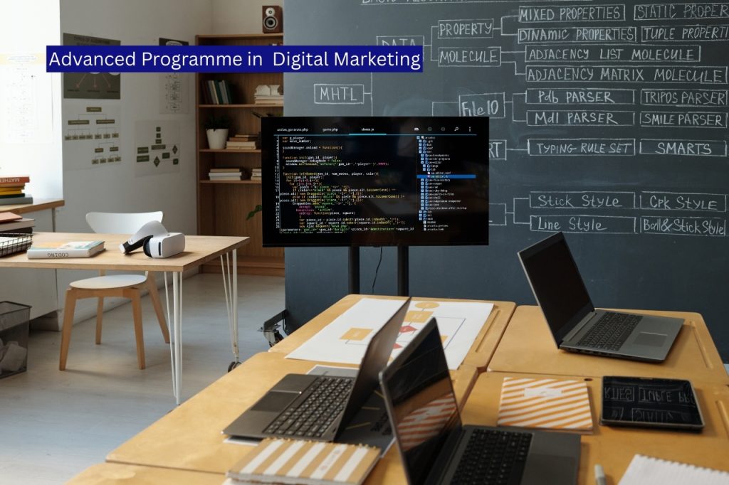 Advanced Programme in Digital Marketing​