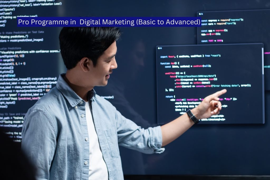 Pro Programme in Digital Marketing (Basic to Advanced)​