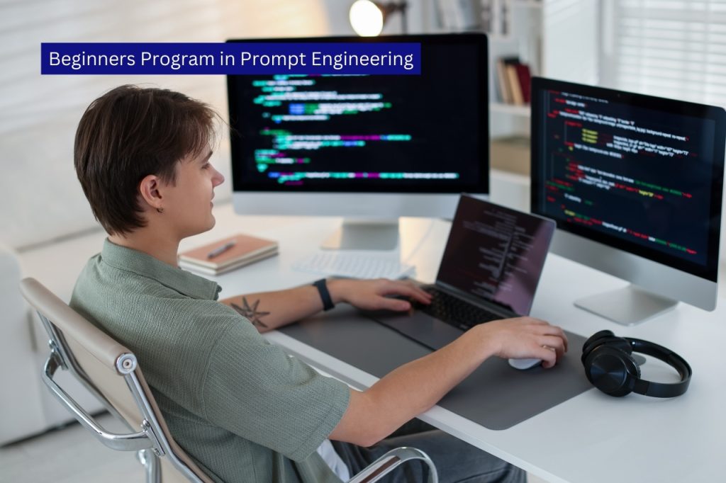 Beginners Program in Prompt Engineering