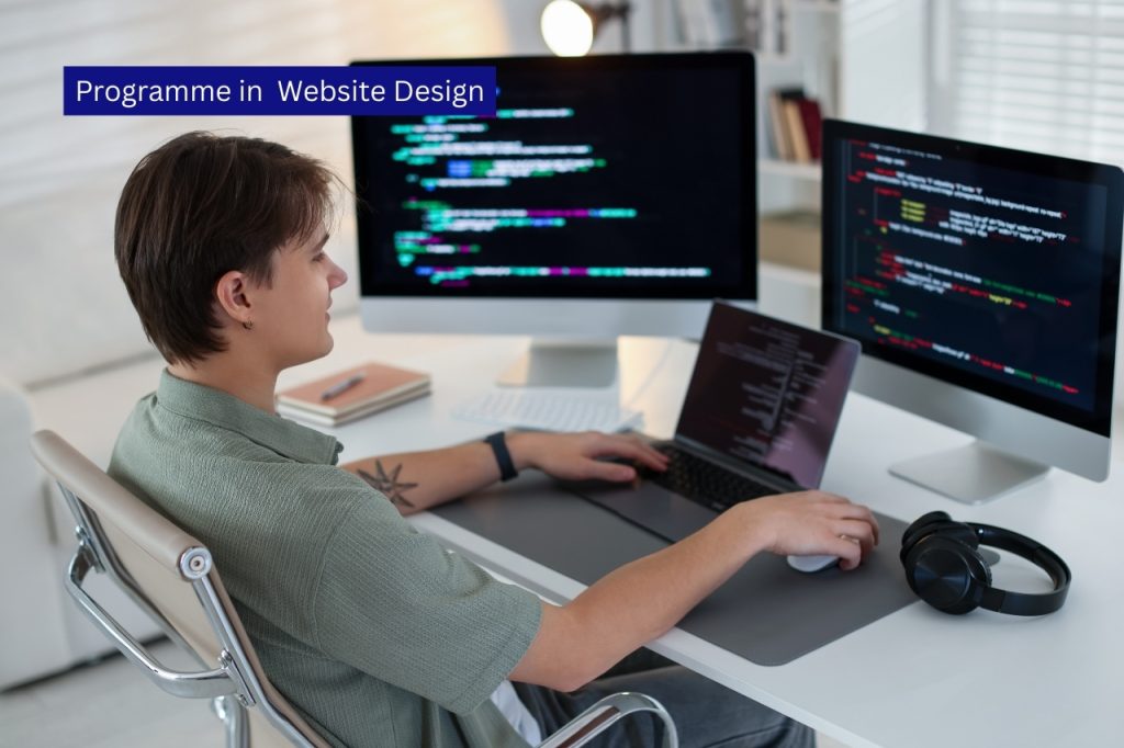 Programme in Website Design​
